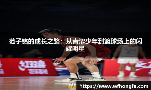 bsports必一登录入口