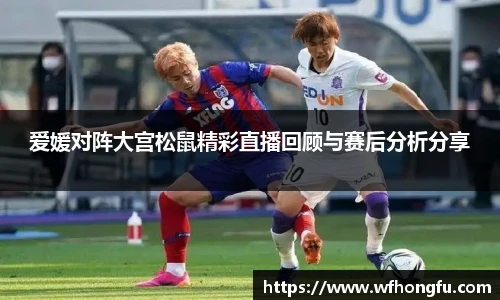 bsports必一体育